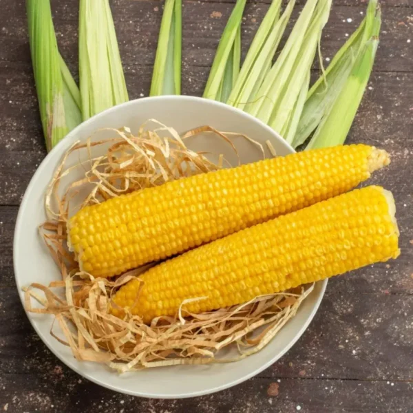 imgi 82 yellow maize 1024x1024